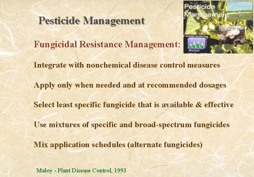 Pesticide Management Fungicidal Resistance Management: Integrate with nonchemical disease control measures Apply only when