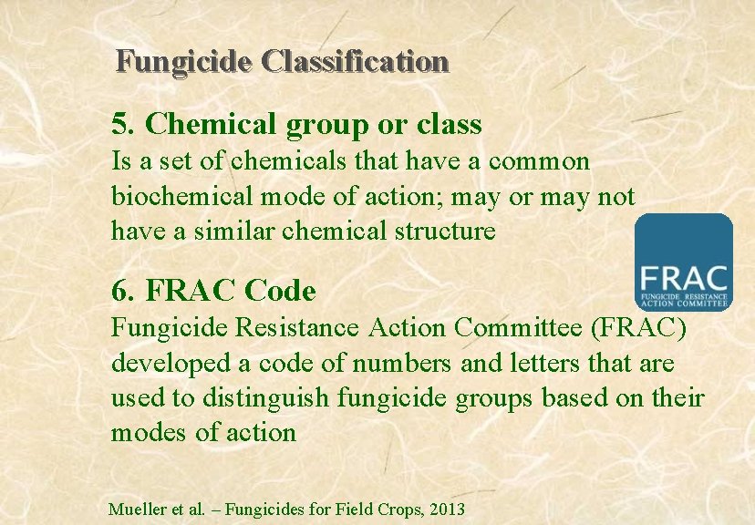 Fungicide Classification 5. Chemical group or class Is a set of chemicals that have