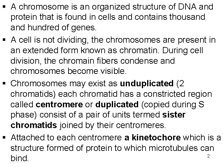 § A chromosome is an organized structure of DNA and protein that is found § A chromosome is an organized structure of DNA and protein that is found