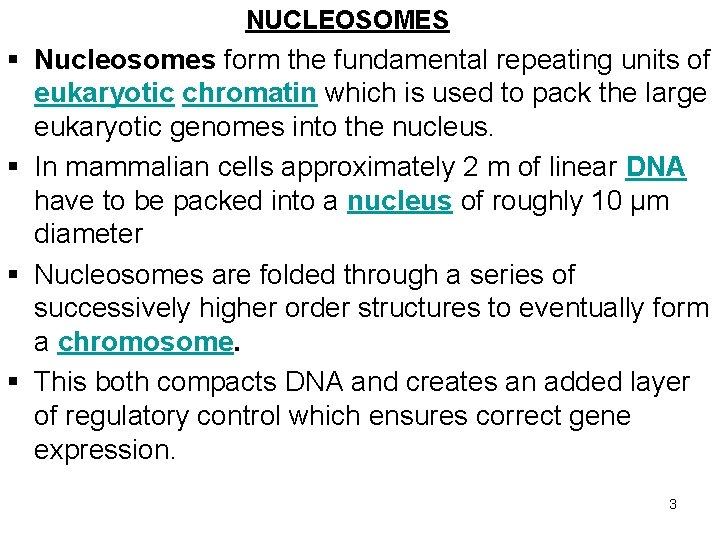 NUCLEOSOMES § Nucleosomes form the fundamental repeating units of eukaryotic chromatin which is used NUCLEOSOMES § Nucleosomes form the fundamental repeating units of eukaryotic chromatin which is used