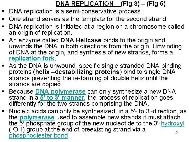DNA REPLICATION (Fig. 3) – (Fig 5) DNA replication is a semi-conservative process. One DNA REPLICATION (Fig. 3) – (Fig 5) DNA replication is a semi-conservative process. One