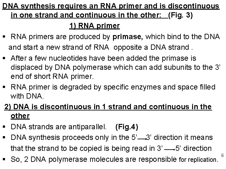 DNA synthesis requires an RNA primer and is discontinuous in one strand continuous in DNA synthesis requires an RNA primer and is discontinuous in one strand continuous in