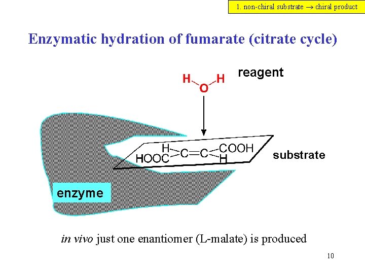 1. non-chiral substrate chiral product Enzymatic hydration of fumarate (citrate cycle) reagent substrate enzyme 1. non-chiral substrate chiral product Enzymatic hydration of fumarate (citrate cycle) reagent substrate enzyme
