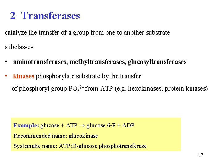 2 Transferases catalyze the transfer of a group from one to another substrate subclasses: 2 Transferases catalyze the transfer of a group from one to another substrate subclasses: