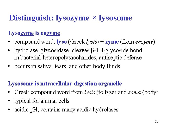 Distinguish: lysozyme × lysosome Lysozyme is enzyme • compound word, lyso (Greek lysis) +