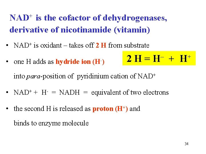 NAD+ is the cofactor of dehydrogenases, derivative of nicotinamide (vitamin) • NAD+ is oxidant NAD+ is the cofactor of dehydrogenases, derivative of nicotinamide (vitamin) • NAD+ is oxidant