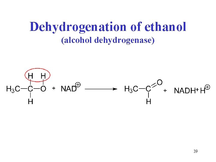 Dehydrogenation of ethanol (alcohol dehydrogenase) 39 Dehydrogenation of ethanol (alcohol dehydrogenase) 39