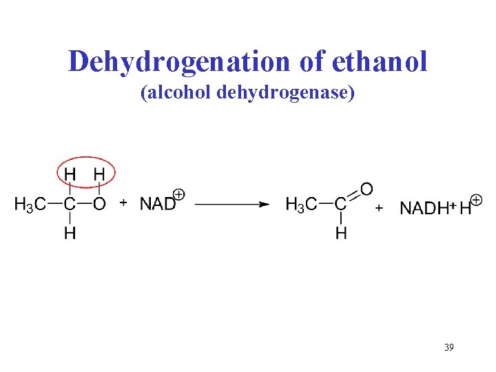 Dehydrogenation of ethanol (alcohol dehydrogenase) 39 