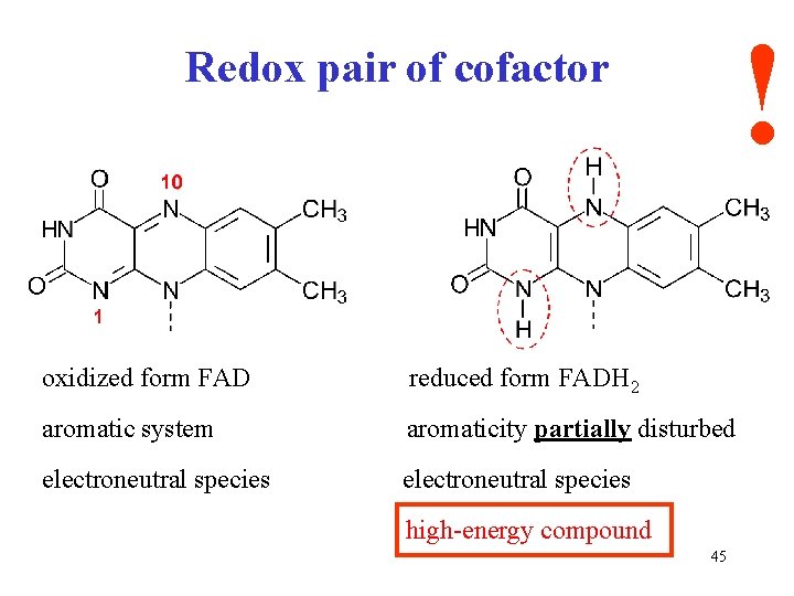 ! Redox pair of cofactor oxidized form FAD reduced form FADH 2 aromatic system