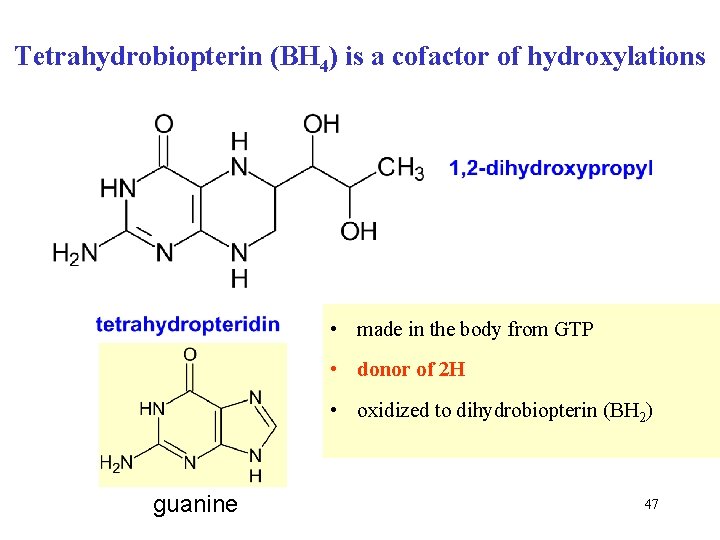 Tetrahydrobiopterin (BH 4) is a cofactor of hydroxylations • made in the body from