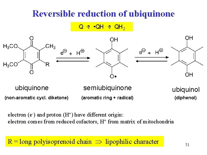 Reversible reduction of ubiquinone Q • QH 2 ubiquinone (non-aromatic cycl. diketone) semiubiquinone ubiquinol Reversible reduction of ubiquinone Q • QH 2 ubiquinone (non-aromatic cycl. diketone) semiubiquinone ubiquinol