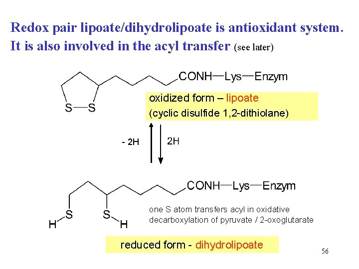 Redox pair lipoate/dihydrolipoate is antioxidant system. It is also involved in the acyl transfer
