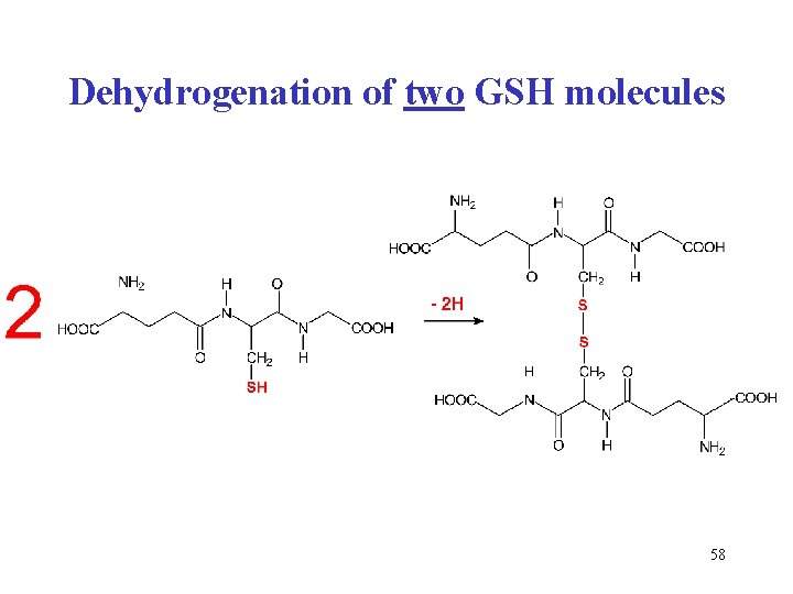 Dehydrogenation of two GSH molecules 58 