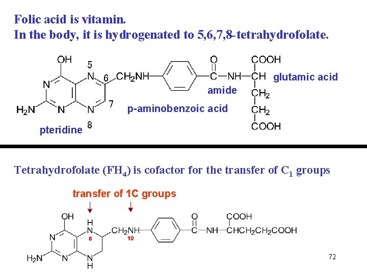 Folic acid is vitamin. In the body, it is hydrogenated to 5, 6, 7,