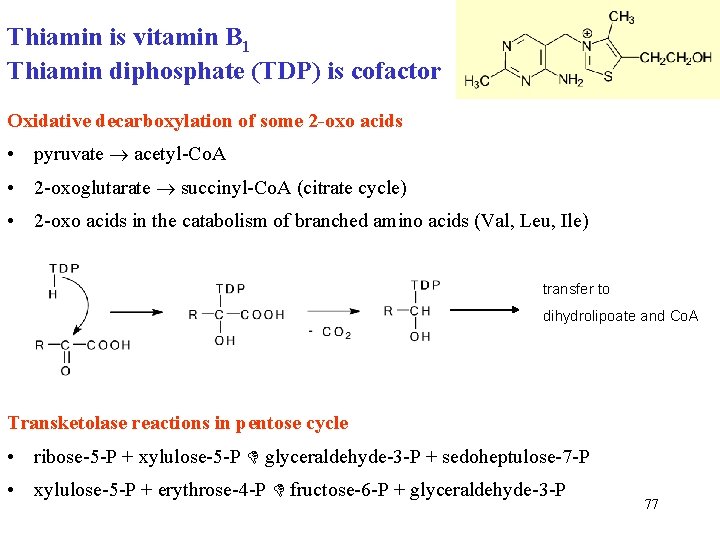 Thiamin is vitamin B 1 Thiamin diphosphate (TDP) is cofactor Oxidative decarboxylation of some Thiamin is vitamin B 1 Thiamin diphosphate (TDP) is cofactor Oxidative decarboxylation of some
