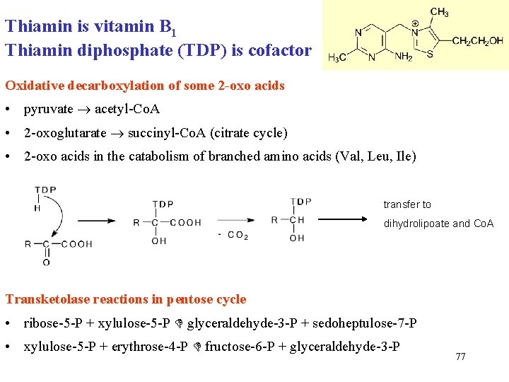 Thiamin is vitamin B 1 Thiamin diphosphate (TDP) is cofactor Oxidative decarboxylation of some