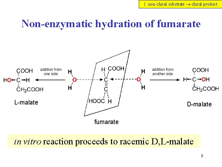 1. non-chiral substrate chiral product Non-enzymatic hydration of fumarate addition from one side addition 1. non-chiral substrate chiral product Non-enzymatic hydration of fumarate addition from one side addition