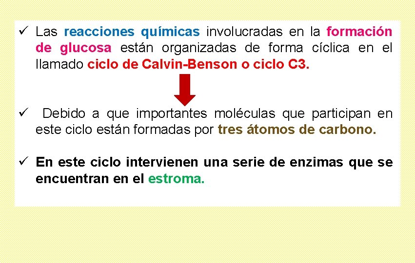 ü Las reacciones químicas involucradas en la formación de glucosa están organizadas de forma