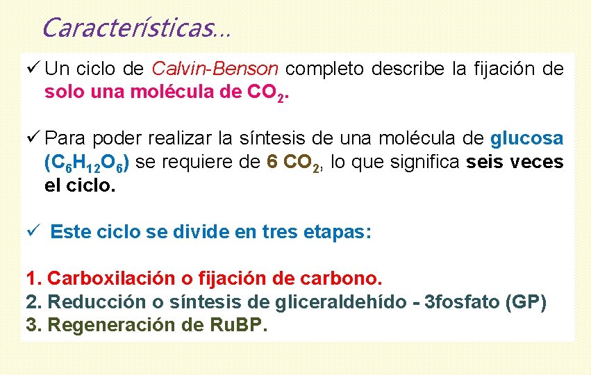 Características… ü Un ciclo de Calvin-Benson completo describe la fijación de solo una molécula