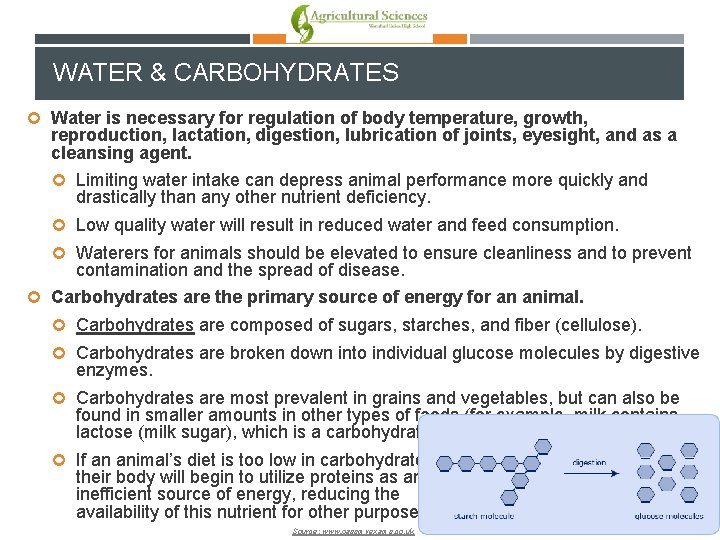 WATER & CARBOHYDRATES Water is necessary for regulation of body temperature, growth, reproduction, lactation,