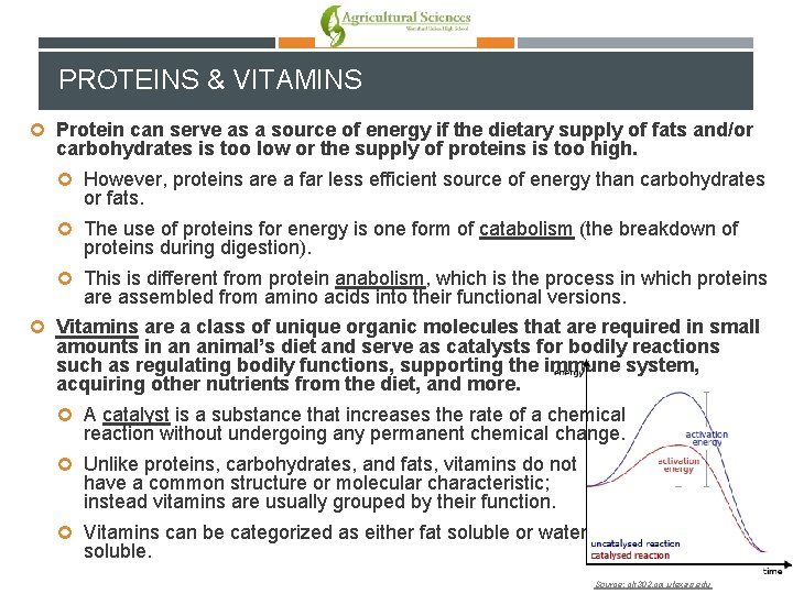 PROTEINS & VITAMINS Protein can serve as a source of energy if the dietary