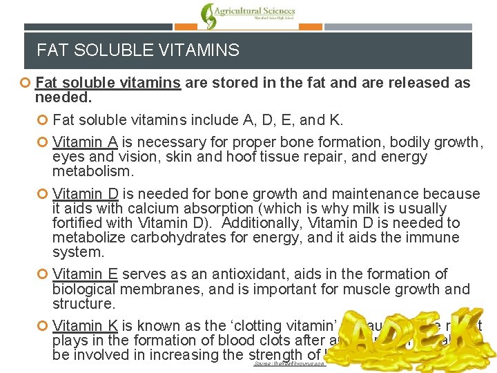 FAT SOLUBLE VITAMINS Fat soluble vitamins are stored in the fat and are released