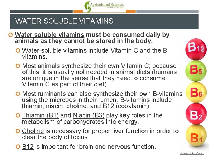 WATER SOLUBLE VITAMINS Water soluble vitamins must be consumed daily by animals as they