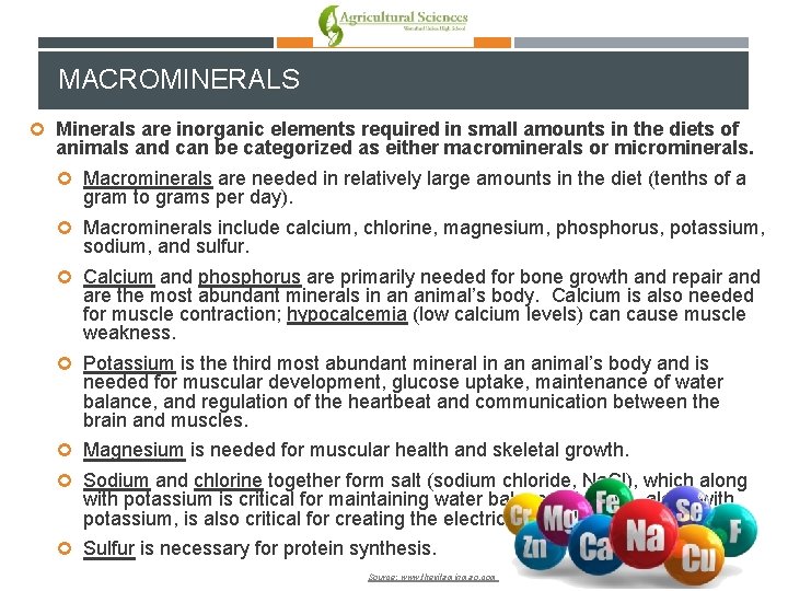 MACROMINERALS Minerals are inorganic elements required in small amounts in the diets of animals