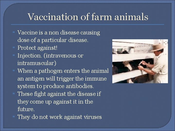 Vaccination of farm animals Vaccine is a non disease causing dose of a particular