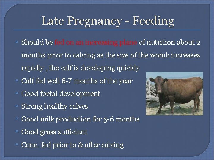 Late Pregnancy - Feeding Should be fed on an increasing plane of nutrition about