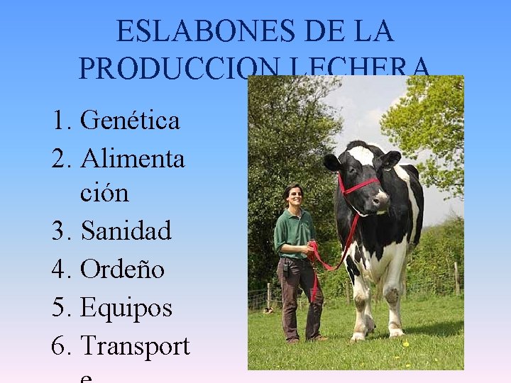 ESLABONES DE LA PRODUCCION LECHERA 1. Genética 2. Alimenta ción 3. Sanidad 4. Ordeño