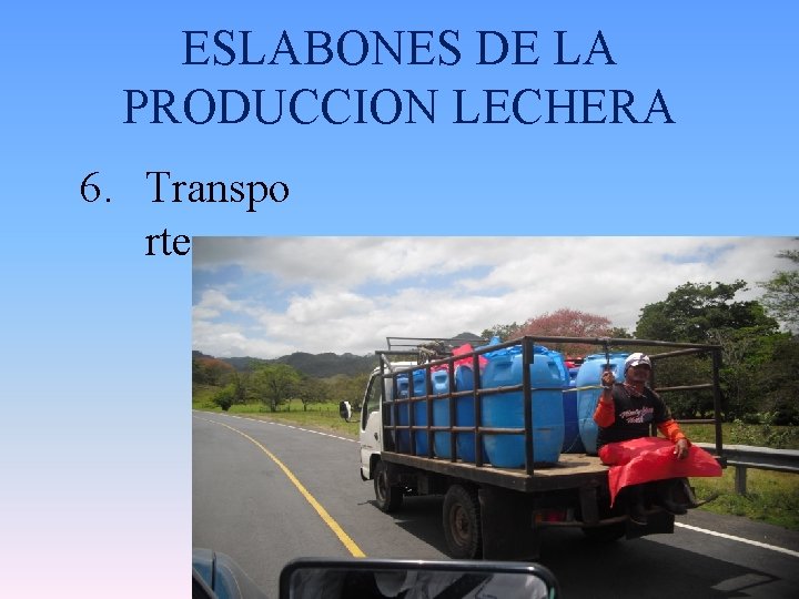 ESLABONES DE LA PRODUCCION LECHERA 6. Transpo rte 