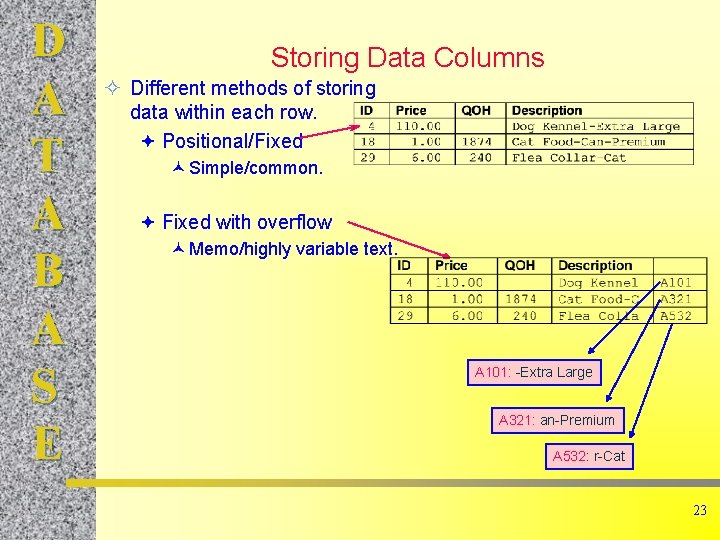 D A T A B A S E Storing Data Columns ² Different methods