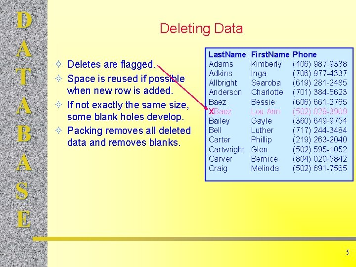 D A T A B A S E Deleting Data ² Deletes are flagged.