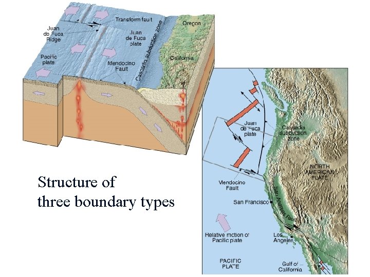 Structure of three boundary types 15 