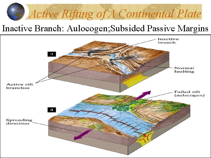 Active Rifting of A Continental Plate Inactive Branch: Aulocogen; Subsided Passive Margins 