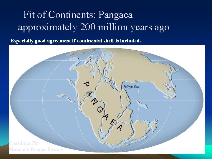 Fit of Continents: Pangaea approximately 200 million years ago Especially good agreement if continental