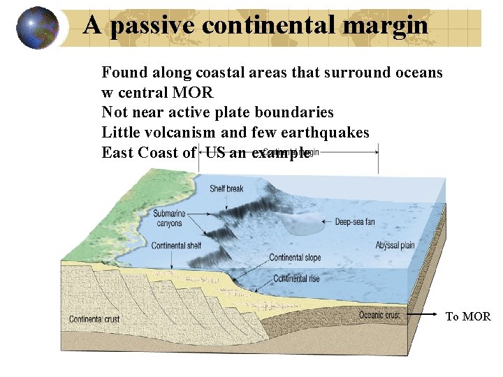 A passive continental margin Found along coastal areas that surround oceans w central MOR