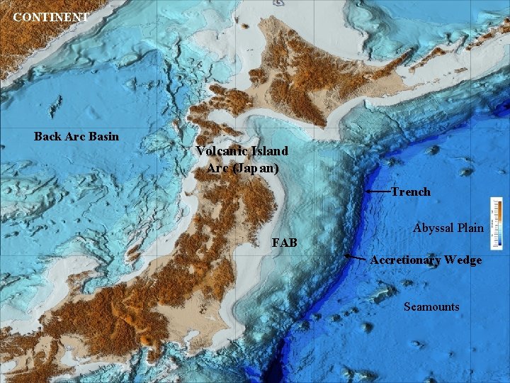 CONTINENT Back Arc Basin Volcanic Island Arc (Japan) Trench Abyssal Plain FAB Accretionary Wedge