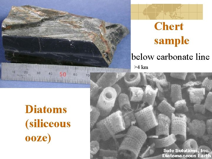 Chert sample below carbonate line >4 km Diatoms (siliceous ooze) 