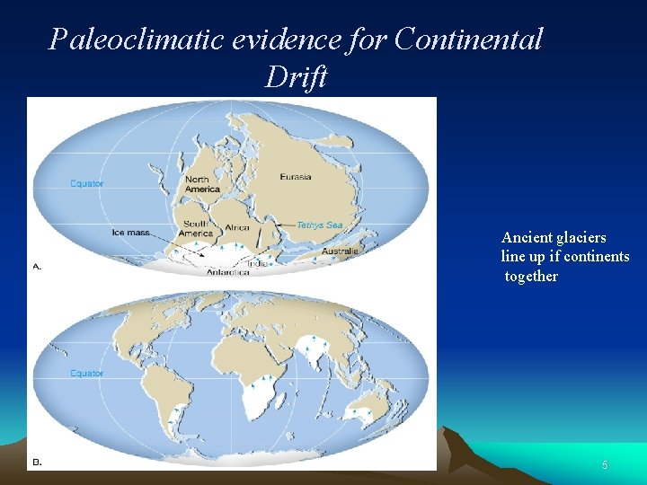 Paleoclimatic evidence for Continental Drift Ancient glaciers line up if continents together 5 