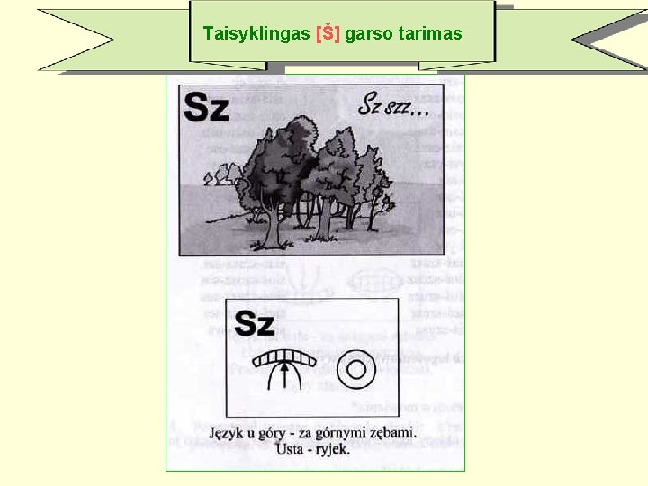 Taisyklingas [Š] garso tarimas 