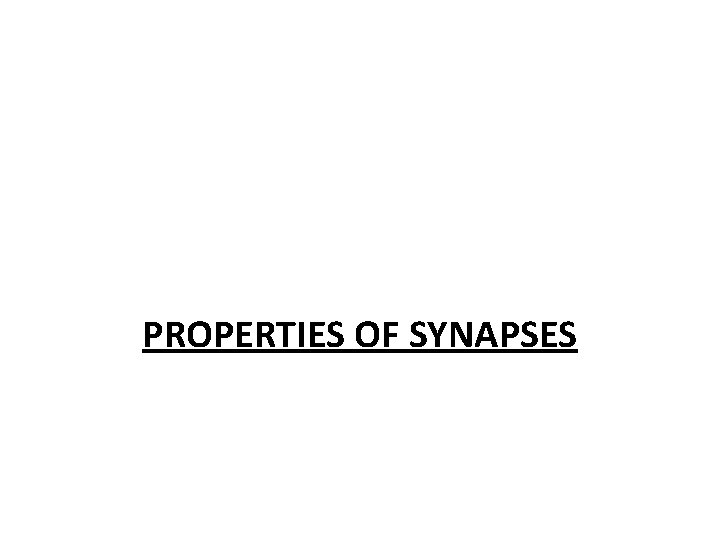 PROPERTIES OF SYNAPSES 