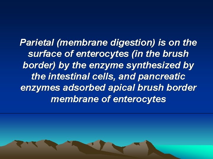 Parietal (membrane digestion) is on the surface of enterocytes (in the brush border) by
