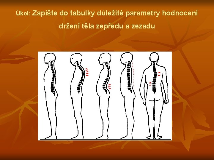 Úkol: Zapište do tabulky důležité parametry hodnocení držení těla zepředu a zezadu 