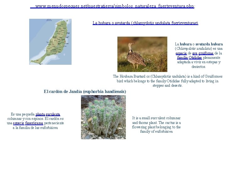  www. menudospeques. net/nuestratierra/simbolos_naturaleza_fuerteventura. php: La hubara o avutarda (chlamydotis undulata fuerteventurae) La hubara