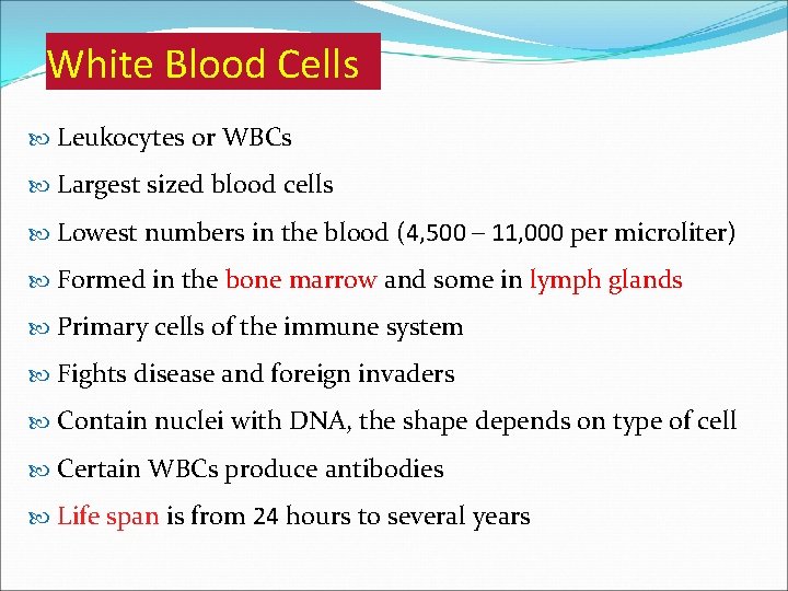White Blood Cells Leukocytes or WBCs Largest sized blood cells Lowest numbers in the