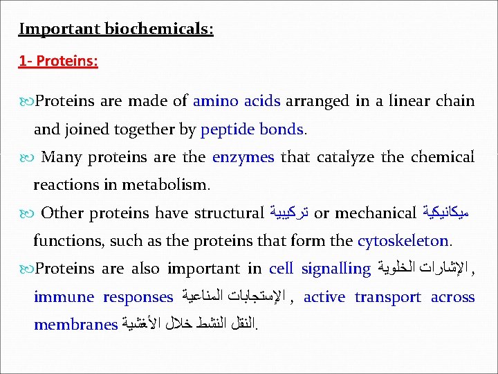 Important biochemicals: 1 - Proteins: Proteins are made of amino acids arranged in a