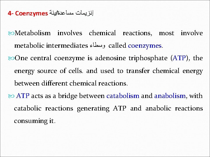 4 - Coenzymes ﻳﻨﺔ / ﺇﻧﺰﻳﻤﺎﺕ ﻣﺴﺎﻋﺪﺓ Metabolism involves chemical reactions, most involve metabolic