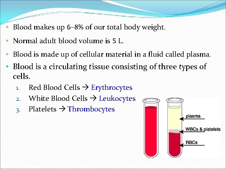  • Blood makes up 6– 8% of our total body weight. • Normal